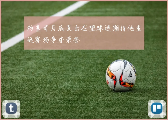 约基奇月底复出在望球迷期待他重返赛场争夺荣誉
